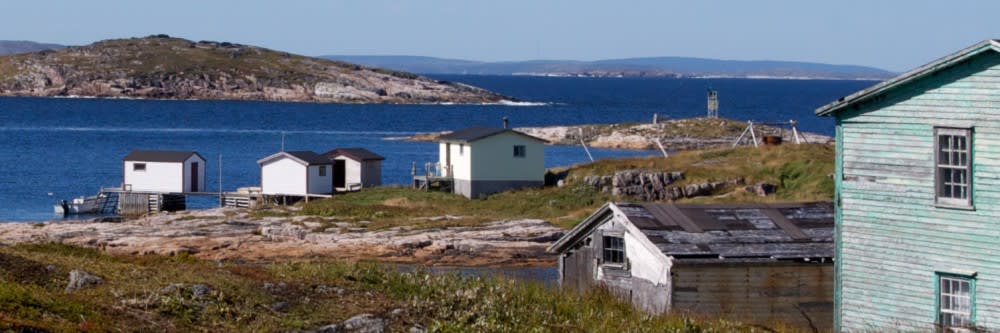 בֶּטל הארבּוֹר