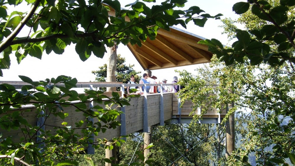 דרך צמרות העצים