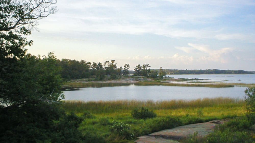 האי בּוֹסוֹלֵיי