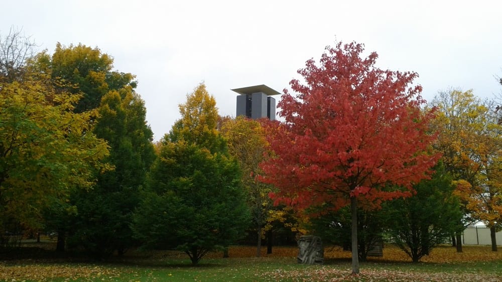 מגדל הפעמונים מציץ מבין עצי הטירגארטן
