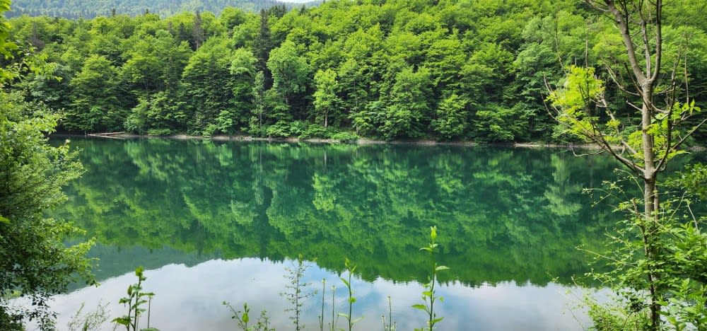 הפארק הלאומי ביוֹגְרָדְסְקָה גוֹרָה