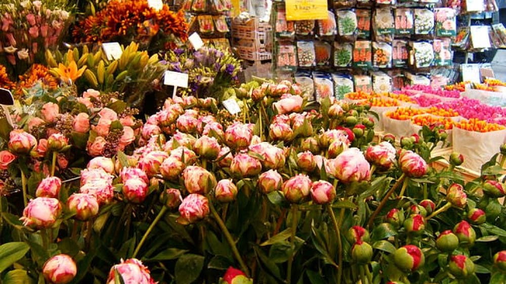 פרחים למכירה בשוק