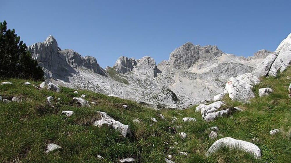 בוֹבוֹטוֹב קוּק