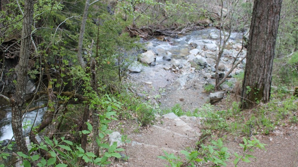 אֶשֶד בּוּלוּבאר