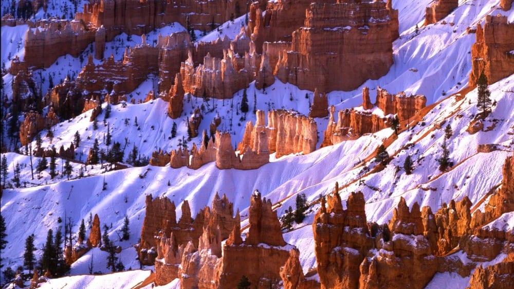 הפארק הלאומי בּרָייס קניון בשלג