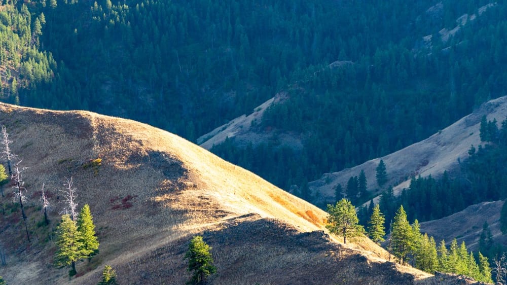 נקודת התצפית בּאקהוֹרן