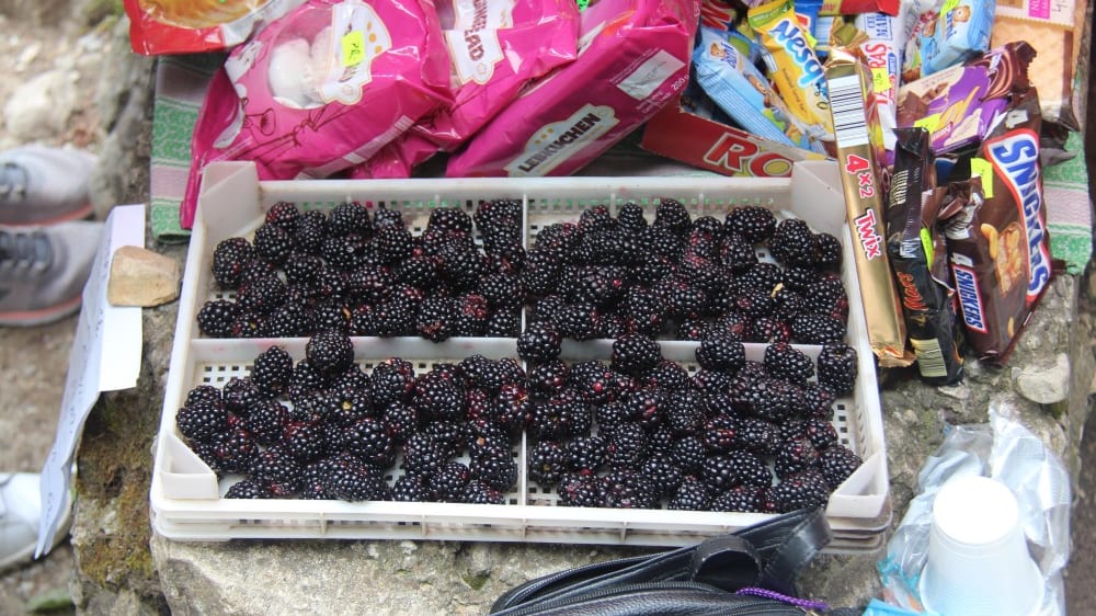 דוכן פירות וחטיפים ליד המפל