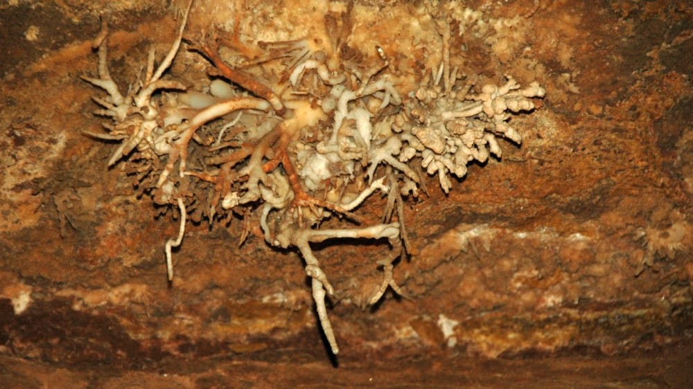 הליקטיטים במערת הרוחות