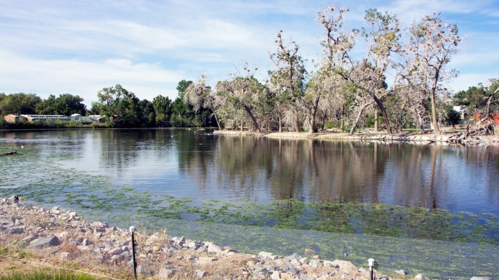 סיטי פארק בדנוור