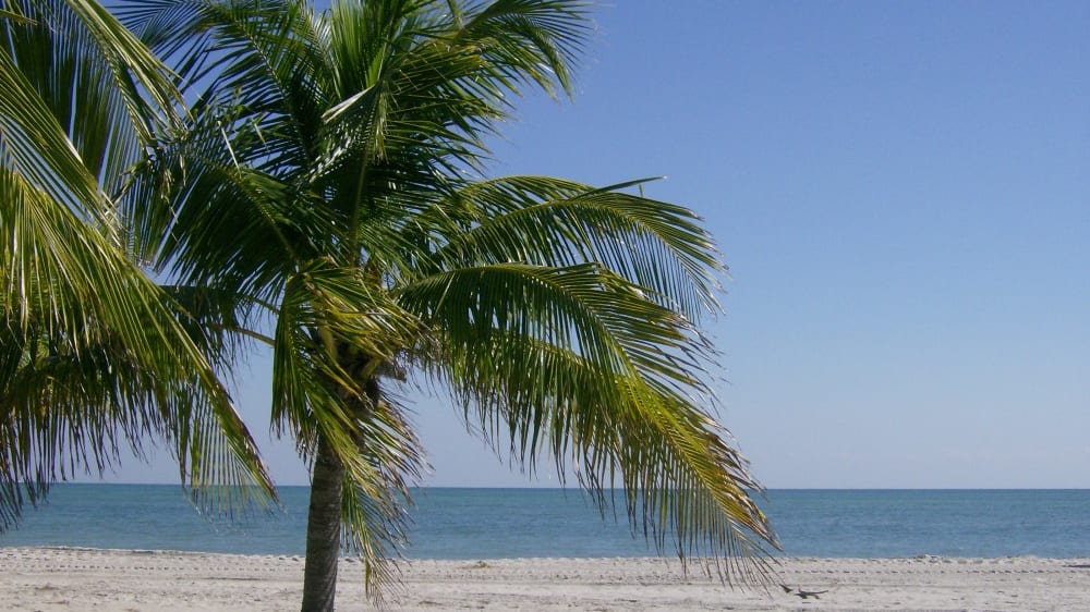 החוף בפארק קרנדוֹן