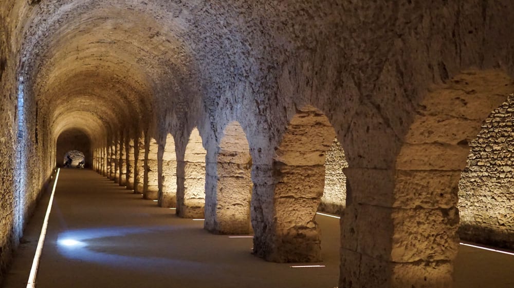 קריפטופורטיקו פוֹרנזֶה