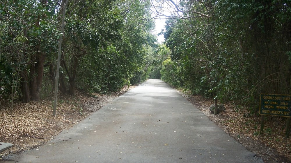שביל בפארק הבוטני דאגני ג׳ונסון