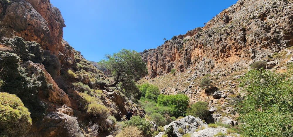 קניון המתים