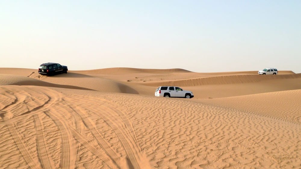 ספארי במדבר