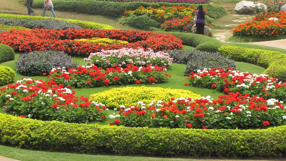 גני המלכה האם דוֹי תוּנְג