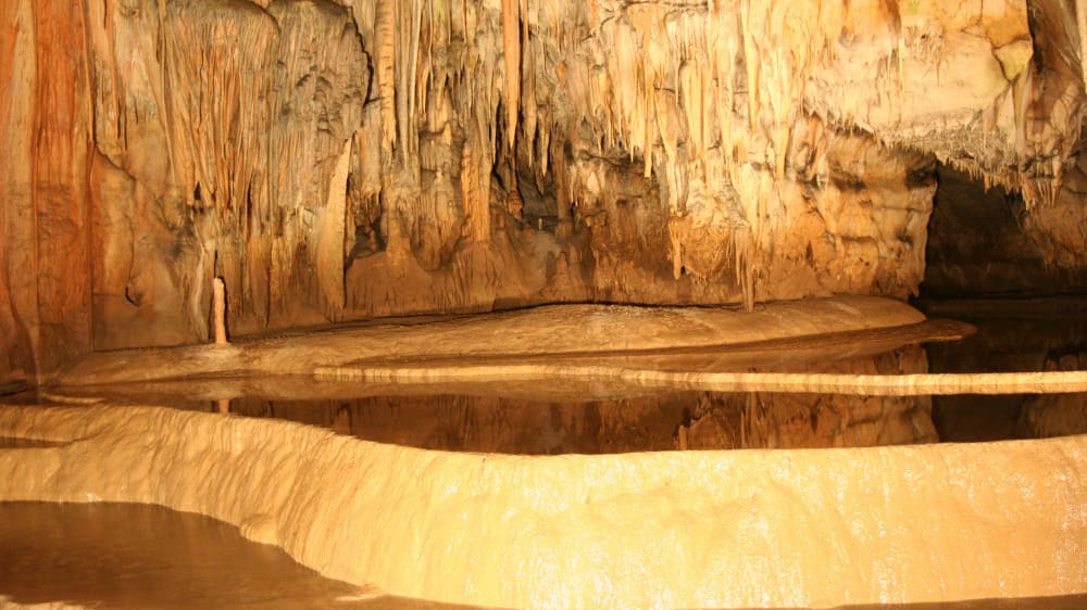 יאסקינָה דוֹמיצָה