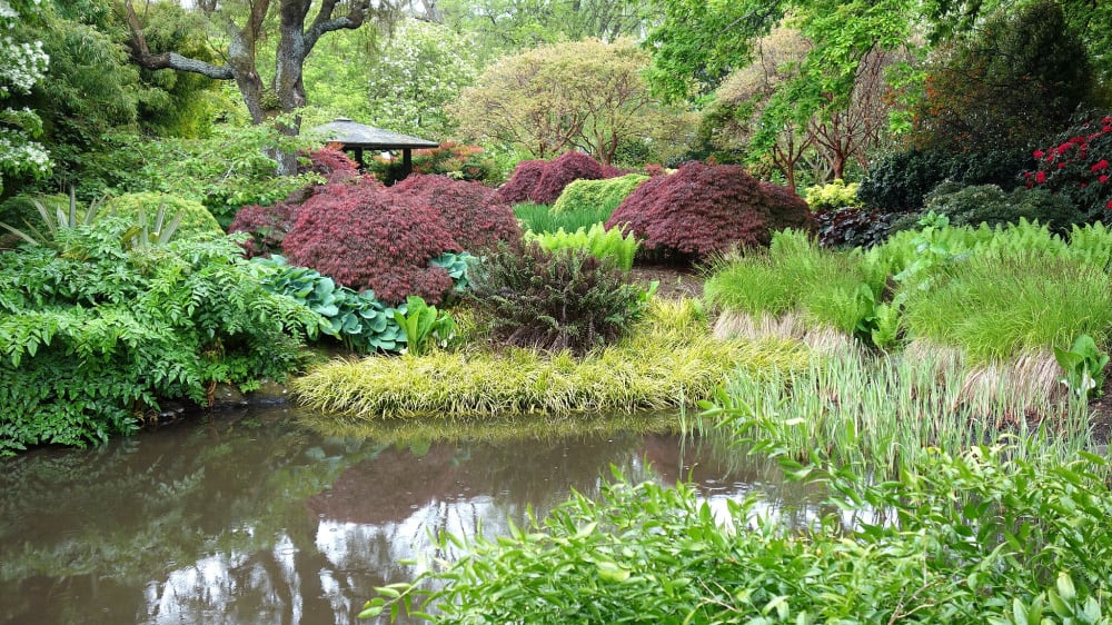 הגן הבוטני של דאנידין