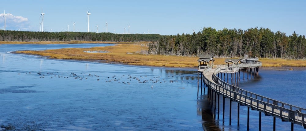 הפארק האקולוגי של חצי האי אקדאיה