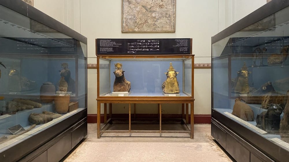 בעלי חיים חנוטים