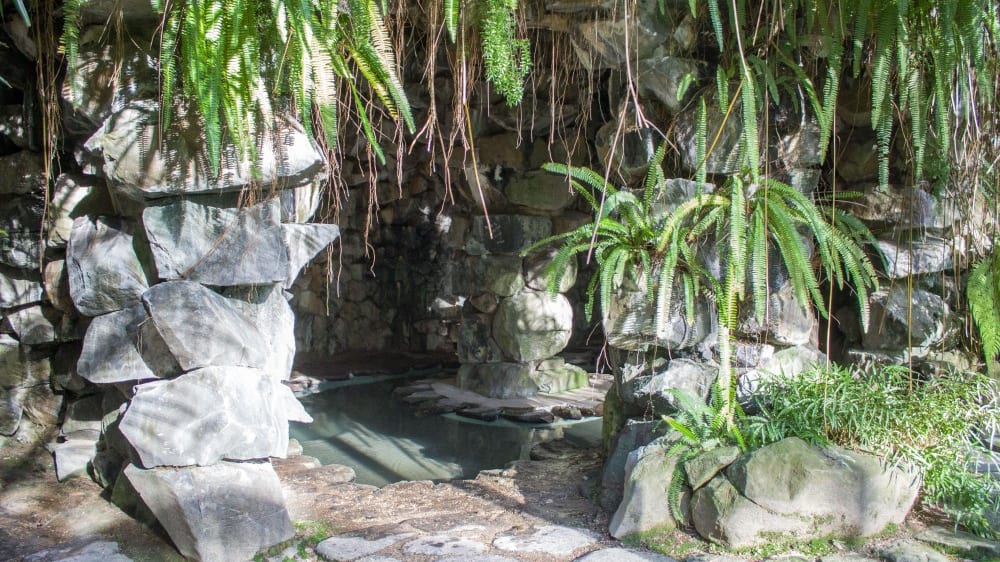 שְטוּפָה פרִיָה‏