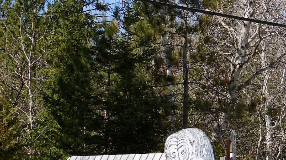 הפארק המחוזי פינליסוֹן פּוֹינט