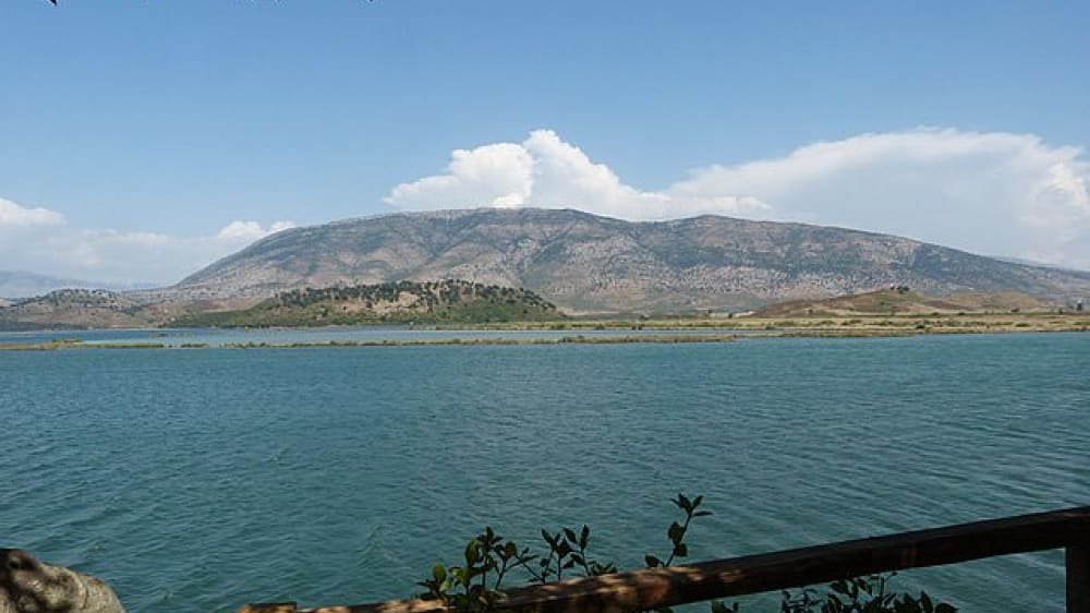 תעלת ויווארי