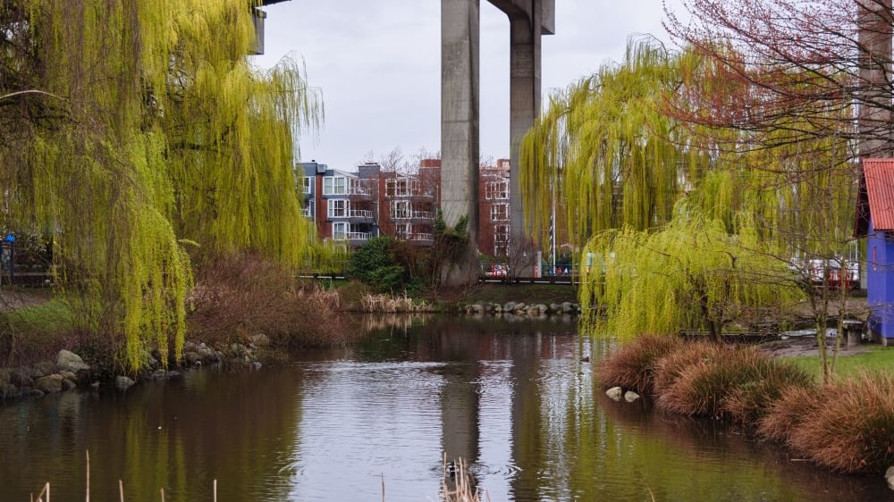 האי גראנוויל