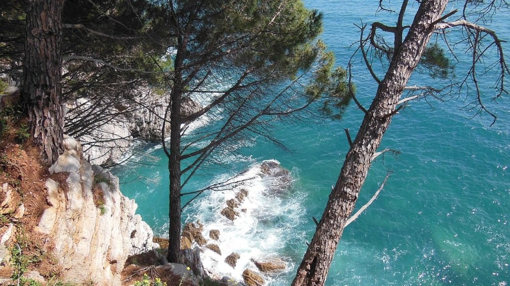 שביל הליכה  ״Reževići״