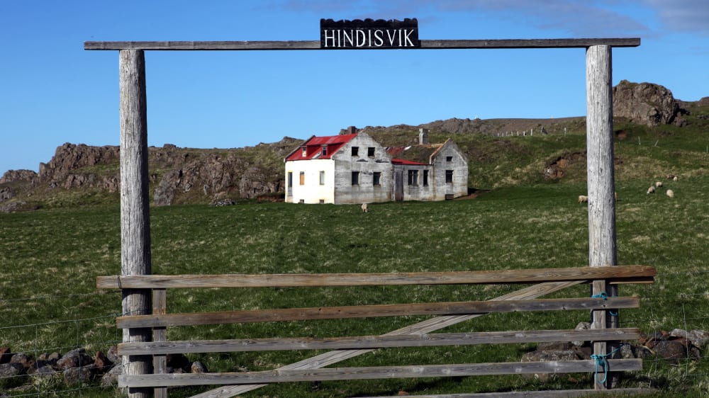 הינדיסוויק