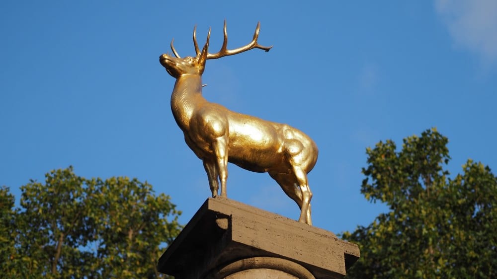 פסל האייל המוזהב בראש המזרקה