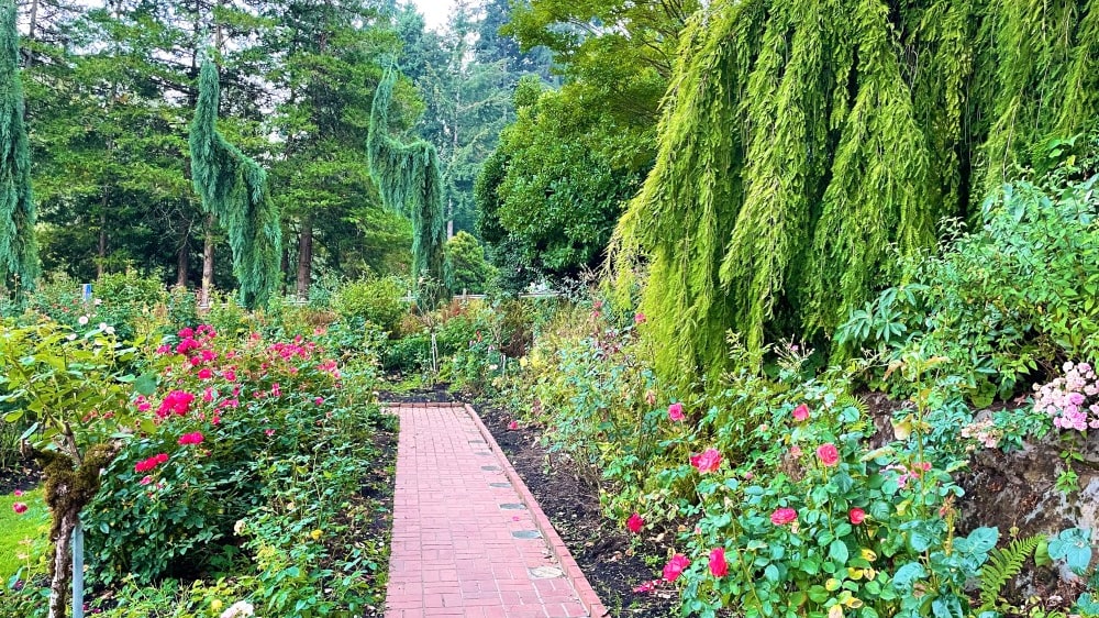 גן הוורדים הבינלאומי בפורטלנד