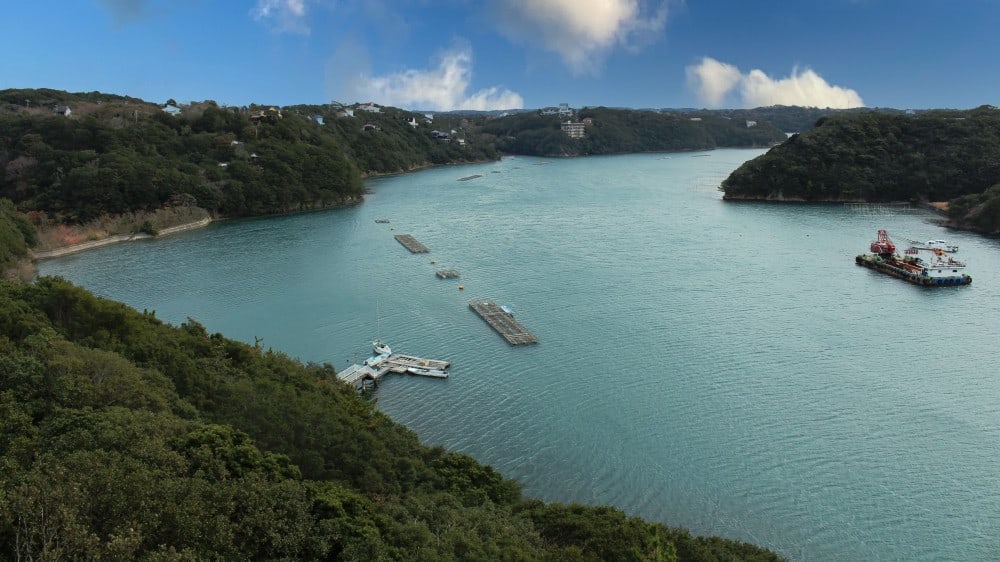 חצי האי איסֶה