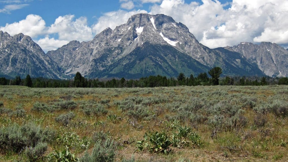 עמק ג׳קסון הול