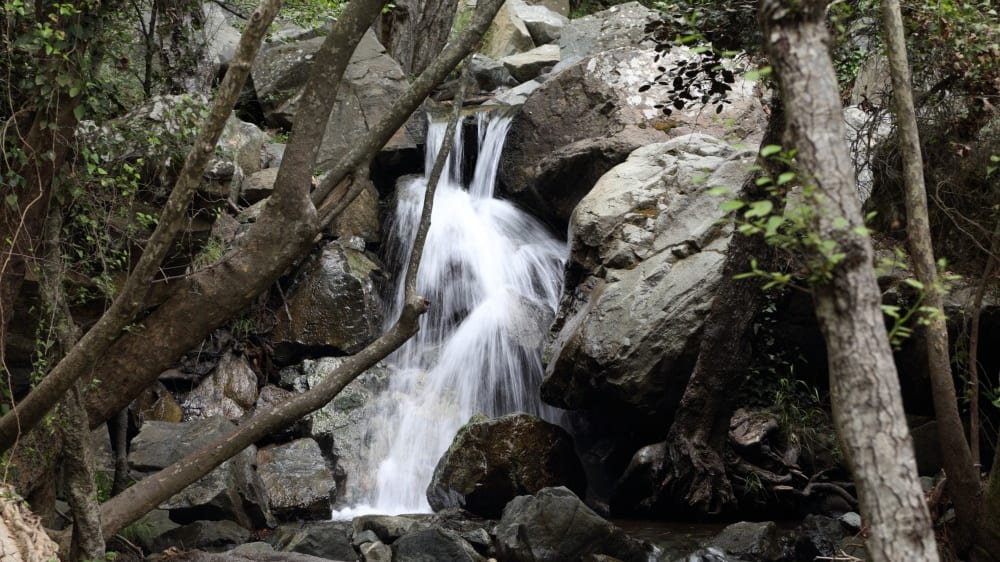 מפל קָלֶדוֹניָה