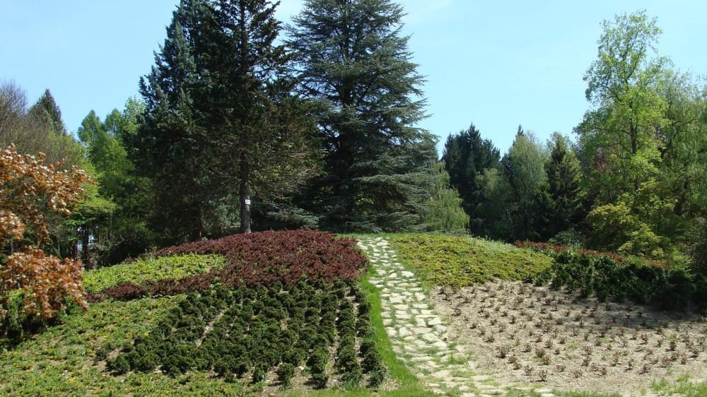 גן הבוטאני קאמוֹני