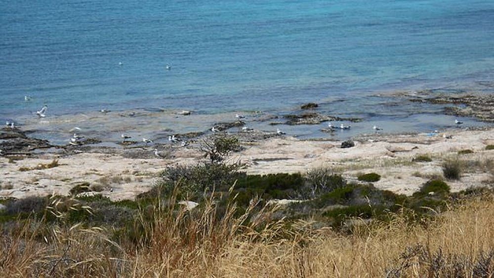 חוף קאטוֹ ניסי