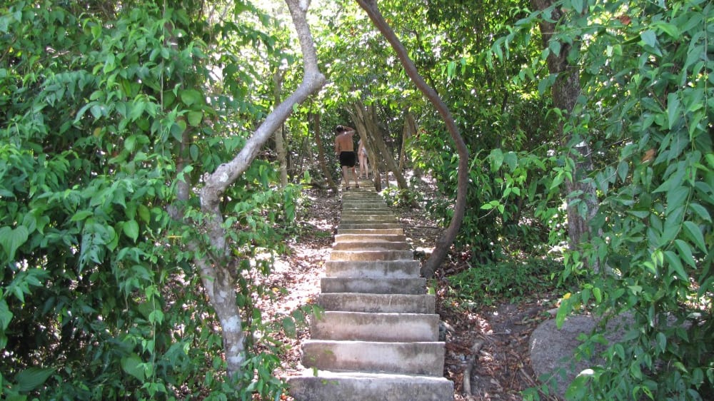 המדרגות לנקודת התצפית