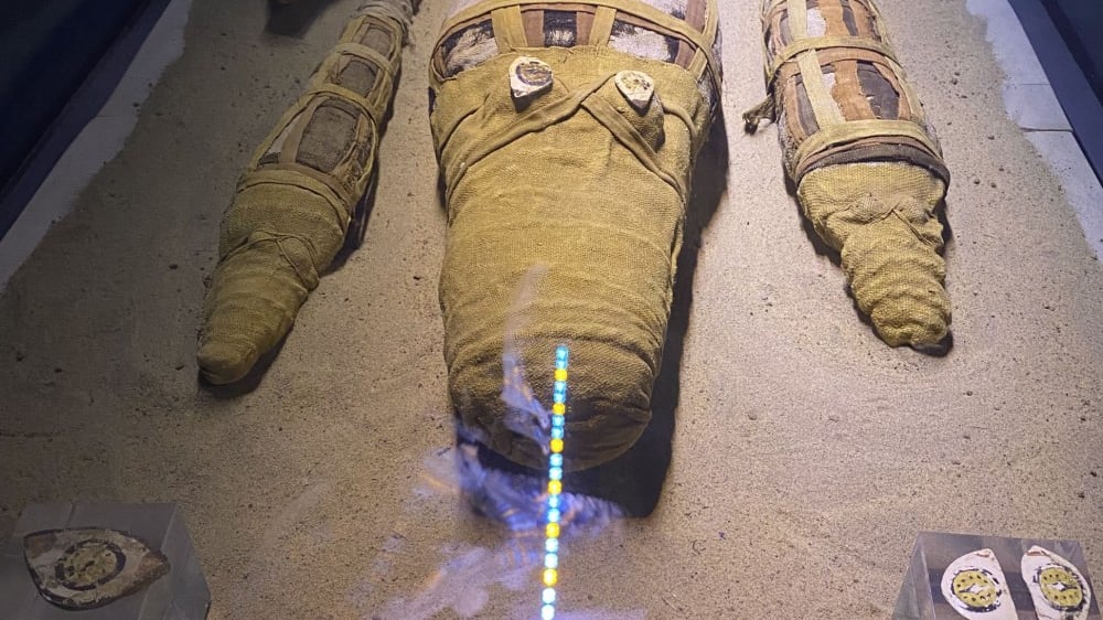 מוזיאון התנינים