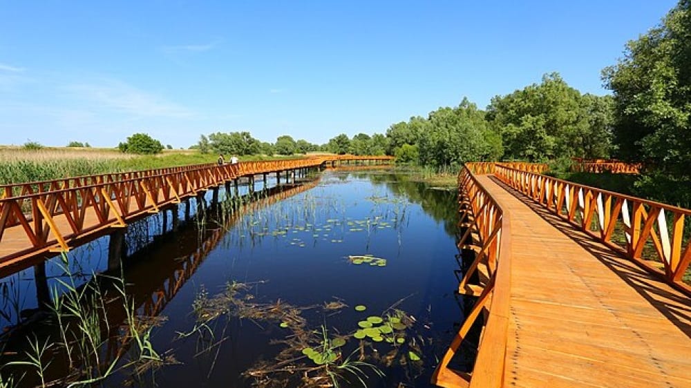 פארק הטבע קוֹפּאצ׳קי ריט