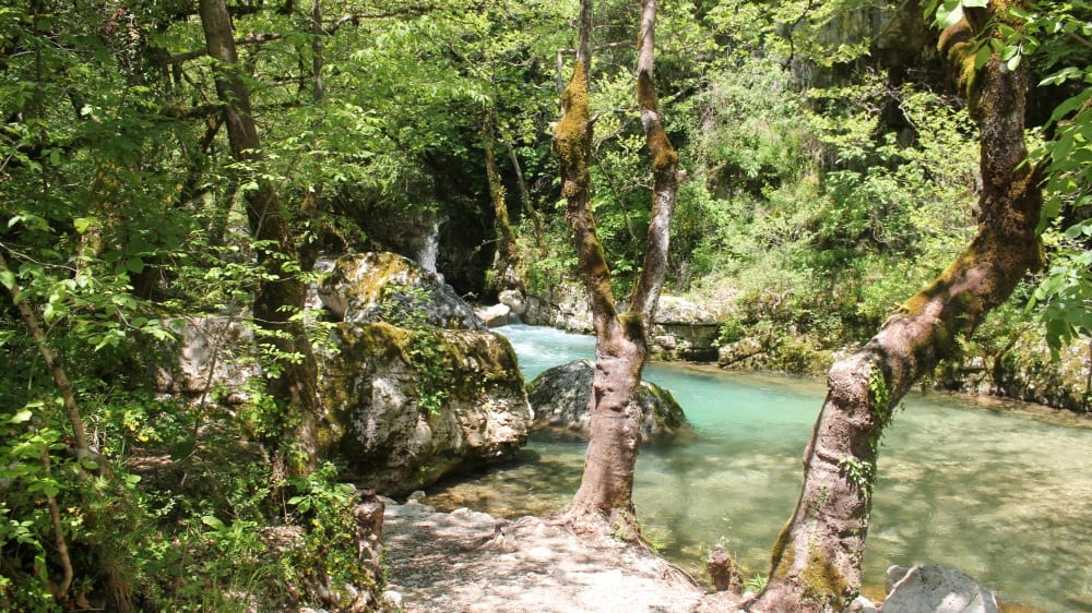 מעיינות קוּיאסָה