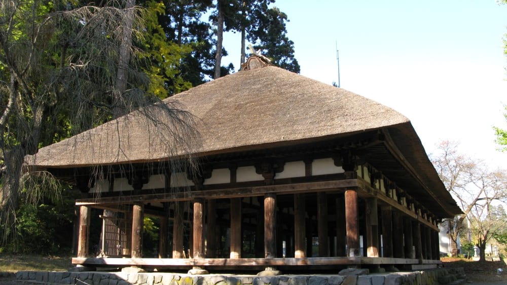 קוּמאנוֹ ג׳ינגָ׳ה