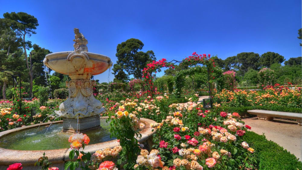 גן הוורדים בפארק בּוּאֶן רֶטירוֹ