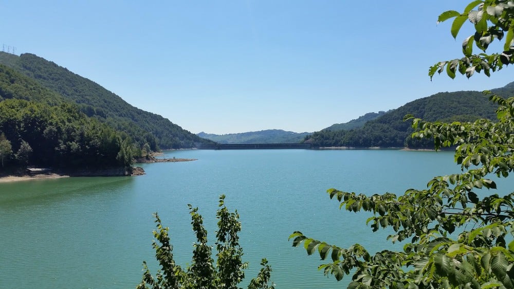 אגם פּאלטינוּ