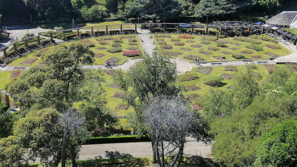 גן הוורדים ליידי נורווּד