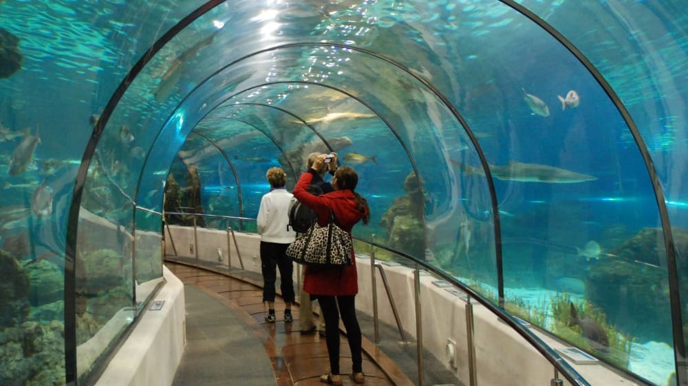 האקווריום של ברצלונה