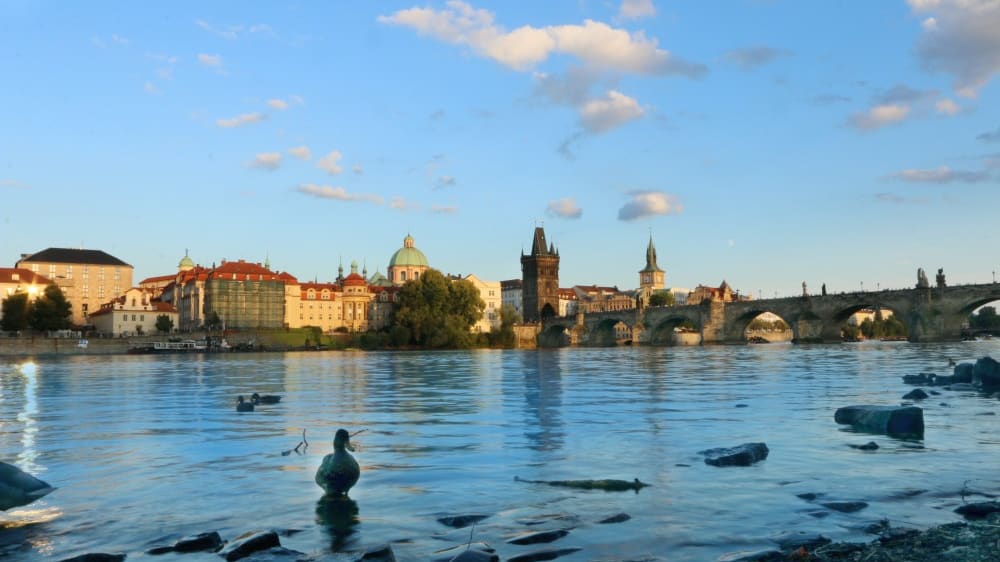 גדת הנהר במאלה סטראנה