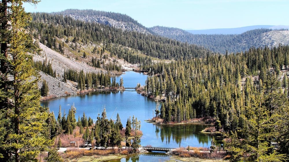 מָמות׳ לֶייקס