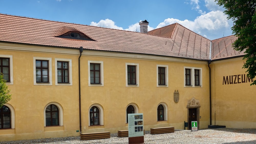 מוזיאון העיר סְטְרז׳יבְּרוֹ