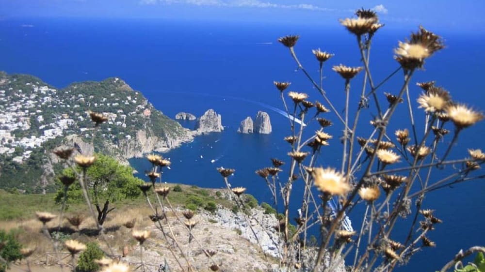 הנוף הנשקף מפסגת מונְטֶה סולָארוֹ