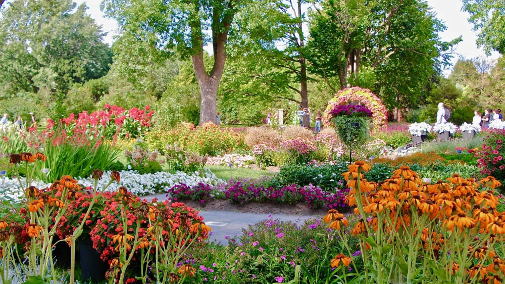 ז׳ארדן בּוֹטאניק דֶה-מונריאַל